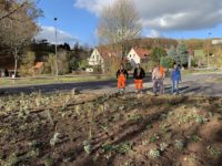 Das Team der Pflanzaktion steht hinter der fertig bepflanzten Fläche am Radweg in Seebach Richtung Thal.